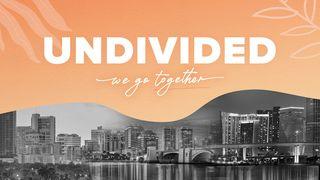 Undivided: We Go Together Titus 2:1-8 New Living Translation