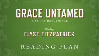 Grace Untamed 2 Corinthians 5:15-21 New Living Translation