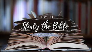 How to Study the Bible: 5 Simple Steps HANDELINGE 2:42-47 Afrikaans 1983