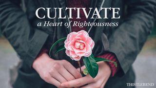 Cultivate a Heart of Righteousness! Colossians 3:12-21 New Living Translation
