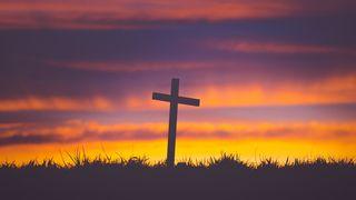 The Final Lessons: A Holy Week Plan John 19:1-22 American Standard Version
