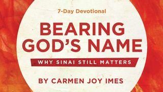 Bearing God's Name: Why Sinai Still Matters Numbers 6:22-27 King James Version