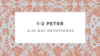 1–2 Peter: A 10-Day Devotional Reading Plan 1 Pedro 1:17-23 Nueva Traducción Viviente