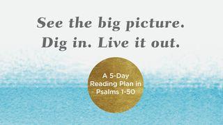 See the Big Picture. Dig In. Live It Out: A 5-Day Reading Plan in Psalms 1-50 Psalms 5:1-12 New Living Translation