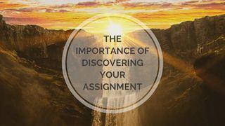 The Importance of Discovering Your Assignment  Psalms 139:13-18 New Living Translation