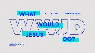 W W J D John 8:1-20 New Living Translation