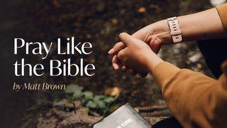 Pray Like the Bible 1 Thessalonians 5:16-24 New Living Translation