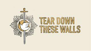 Ephesians: Tear Down These Walls Ephesians 6:1-18 New Living Translation