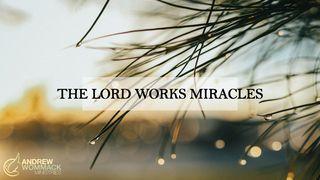 The Lord Works Miracles Matthew 22:23-46 New Living Translation