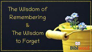 The Wisdom of Remembering & the Wisdom to Forget Isaiah 49:14-23 New International Version