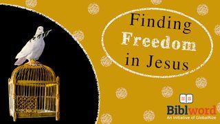 Finding Freedom in Jesus Micah 7:18-20 New Living Translation