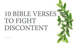 Contentment: 10 Bible Verses to Fight Discontent 1 Timothy 6:6-10 New Living Translation