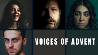 Voices of Advent: 4 Famous Encounters With Jesus Luke 5:17-26 New International Version