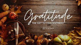 Gratitude: The Key to Contentment  Philippians 4:11 New Living Translation