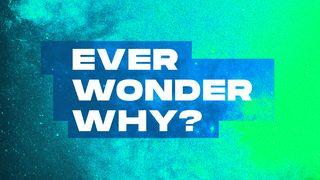 Ever Wonder Why?  Matthew 18:1-20 New Living Translation