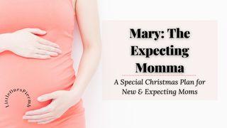 Mary: The Expecting Momma Luke 1:46-55 New Living Translation