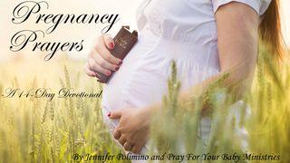 Pregnancy Prayers - Pray For Your Baby Matthew 4:23 New Living Translation