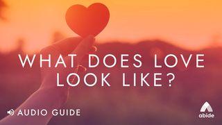 What Does Love Look Like? John 13:34-35 New Living Translation