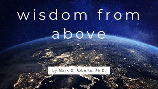 Wisdom From Above James 3:13-18 New Living Translation