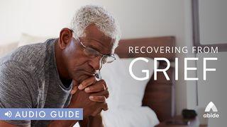 Recovering From Grief Romans 8:28 New International Version