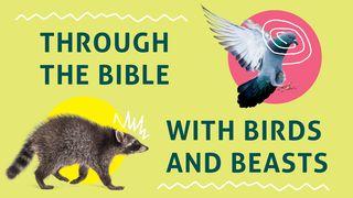 Through the Bible With Birds and Beasts MARKUS 1:11 Afrikaans 1983