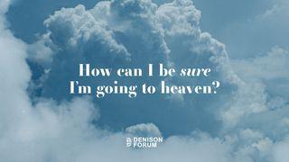 How Can I Be Sure I Am Going to Heaven? Lucas 19:28-44 Nueva Traducción Viviente