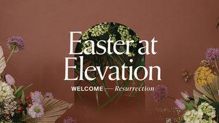 Welcome Resurrection Luke 19:37-38 New Living Translation