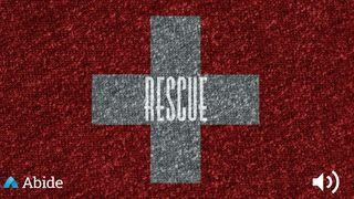 Rescue Psalms 34:8 The Message