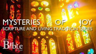 Mysteries Of Joy Luke 2:36-38 New Living Translation