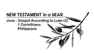New Testament in a Year: June Luke 21:1-19 New Living Translation