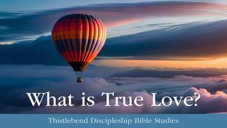 What Is True Love? Psalms 27:7-14 New International Version