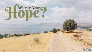 Where Is Your Hope? Luke 18:18-43 New Living Translation