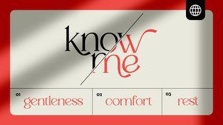 Know Me—Release the Lie and Embrace God. John 4:31-54 New Living Translation