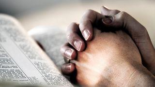 Pray Effectively Salmos 100:1-5 Nueva Traducción Viviente