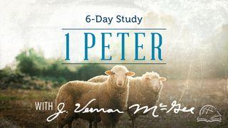 Thru the Bible—1 Peter 1 Peter 1:17-23 King James Version
