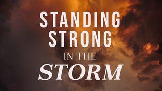 Standing Strong in the Storm Exodus 3:13-22 New Living Translation