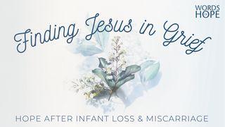 Finding Jesus in Grief: Hope After Infant Loss and Miscarriage John 20:30 New Living Translation