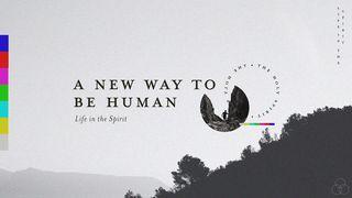 A New Way to Be Human - Life in the Spirit John 14:23-27 New Living Translation
