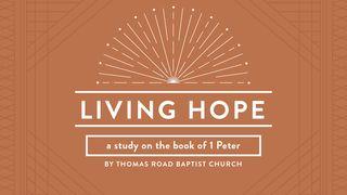 Living Hope: A Study in 1 Peter 1 Peter 1:17-23 New Living Translation