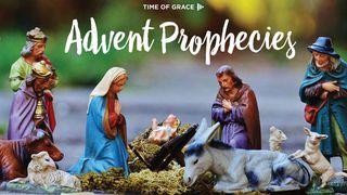 Advent Prophecies Micah 5:2-5 New Living Translation