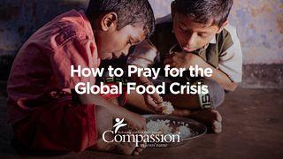 How to Pray for the Global Food Crisis Gálatas 6:2-10 Nueva Traducción Viviente
