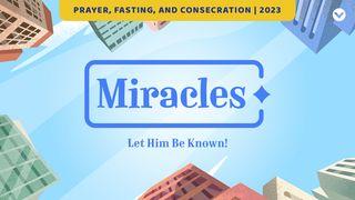 Miracles | Prayer and Fasting (Family Devotional) Acts of the Apostles 4:32-37 New Living Translation