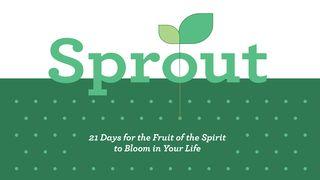 Sprout: 21 Days for the Fruit of the Spirit to Bloom in Your Life Psalms 25:8-12 New Living Translation