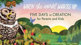 Five Days in Creation for Parents and Kids Psalm 36:5-12 English Standard Version 2016