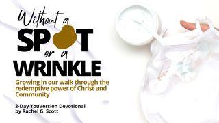 Without a Spot or a Wrinkle Proverbs 27:17-23 New International Version