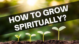 How to Grow Spiritually? Proverbs 27:17-23 New International Version