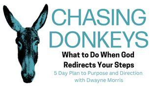 Chasing Donkeys: What to Do When God Redirects Your Steps 1 Samuel 8:1-22 New Living Translation