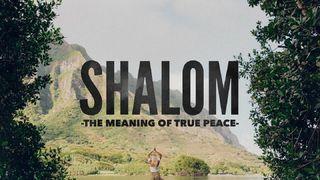 SHALOM - the Meaning of True Peace Romans 5:1-5 New Living Translation