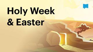 BibleProject | Holy Week & Easter Matthew 26:1-25 New Living Translation