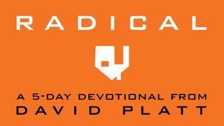 Radical: A 5-Day Devotional By David Platt Luke 16:19-31 New Living Translation
